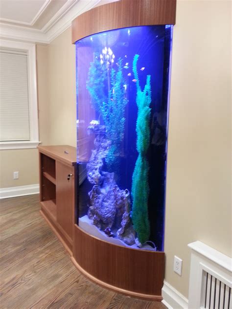 Home Kings Fish Tank