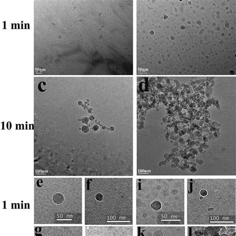 Cryo Tem Micrographs Of Amh And Ag I Ii A Amh At Min Full Of