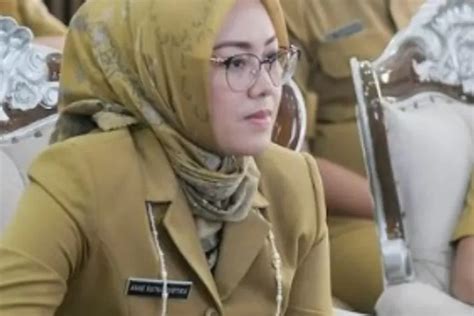 Intip Harta Kekayaan Dan Profil Anne Ratna Mustika Bupati Purwakarta