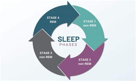 Sleep Cycle: What Is REM Sleep? - Pure Hemp Botanicals