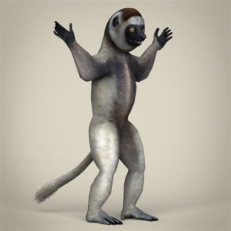 Artstation Low Poly Sifaka Lemur 3d Model Game Assets