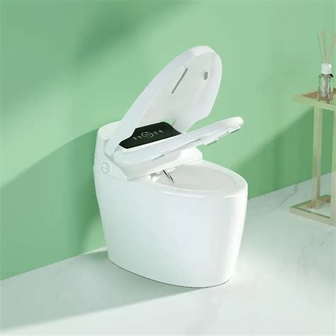 Wall Mounted High Quality Inodoro Ceramic S Trap Siphonic Toilet