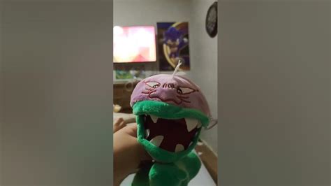 Plants Vs Zombies Chomper Plush Youtube