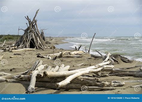 Italy Tuscany Maremma Grosseto Beach Called Delle Capanne Of