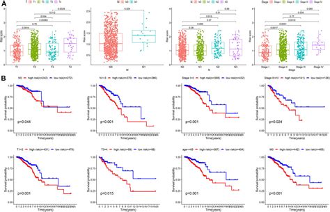 Frontiers Prognostic Implication And Immunotherapy Response