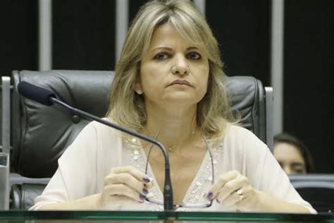 Saiba Como Votou Cada Deputado Federal Goiano Na Reforma Tribut Ria