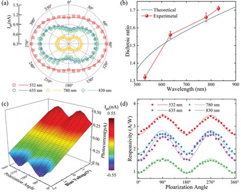 A Polarization Angledependent Photocurrent Under The Light