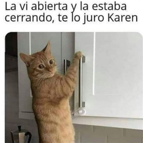 Esta Es La Conmovedora Historia Detrás De Karen Y Los Memes De Los