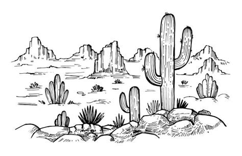 cactus art illustration drawing - Tobias Dekine