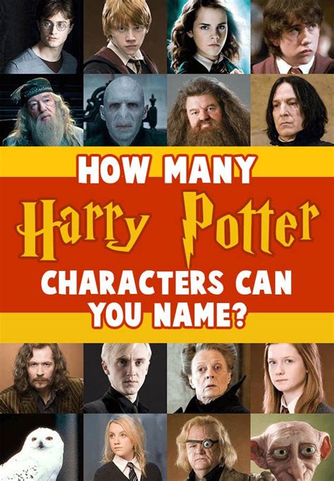 There Are Over 700 Harry Potter Characters, And I'll Be Impressed If ...