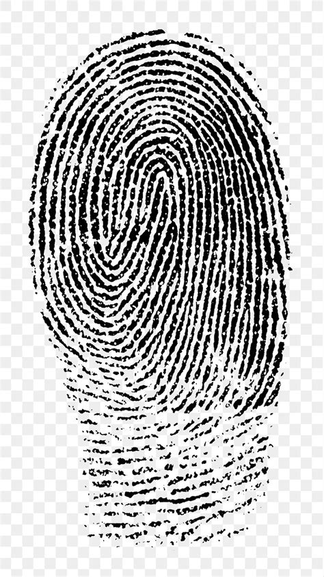 fingerprint images   hd backgrounds pngs vectors