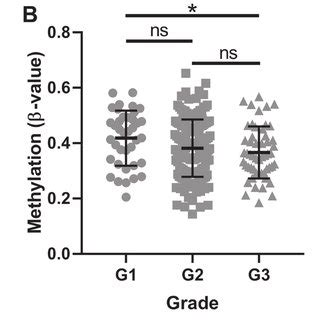 SMPD3 Promoter CpG Island Methylation And Expression Correlate With