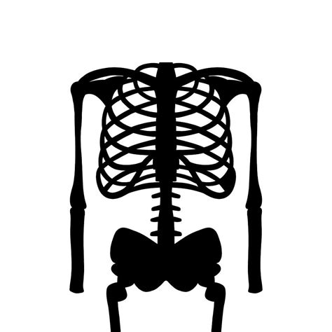 Black Skeleton Bones Digital Art by Kathleen Sartoris - Fine Art America