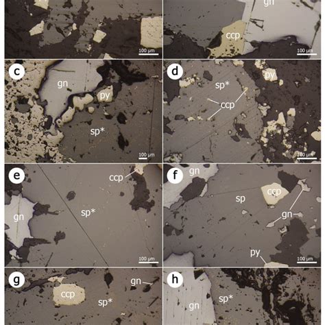 Plane Polarized Reflected Light Photomicrographs Of Representative