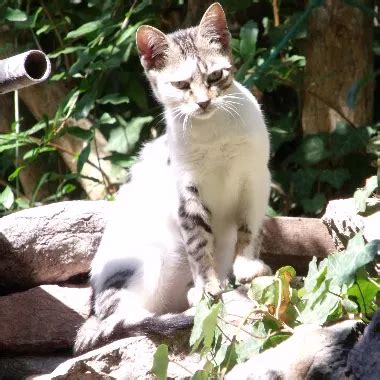 Milf Ehefrau Lutscht Und Fickt In Selbstgedrehtem Sexvideo Xhamster