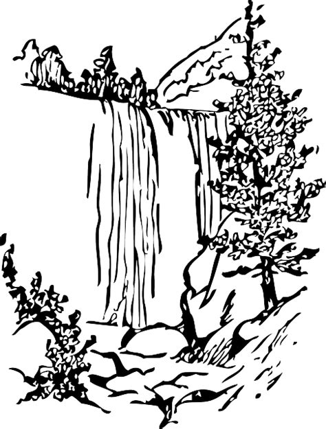 nature clip art black  white png  full size clipart