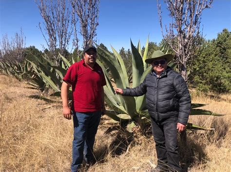 Agricultura Edo Mex On Twitter Por Su Invaluable Labor Y Su