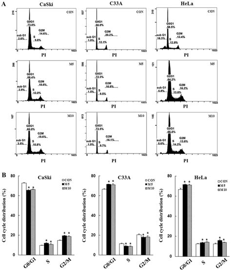 Metformin Induces Apoptosis And Inhibits Migration By Activating The