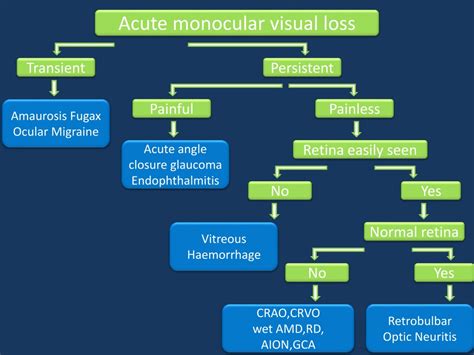 Ppt Sudden Visual Loss Definition Powerpoint Presentation Free