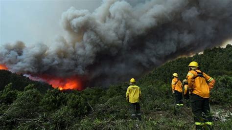 Weretilneck Declara Emergencia Ignea Por Riesgo Extremo De Incendios