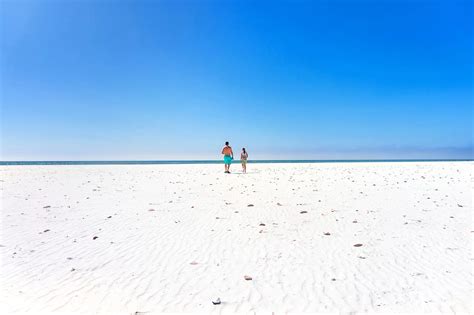 How To Visit Shell Island In Panama City Beach Ultimate Guide