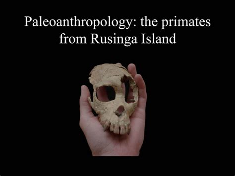 Paleoanthropology