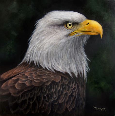 Bald Eagle Portrait Artwork Of Trung Cao