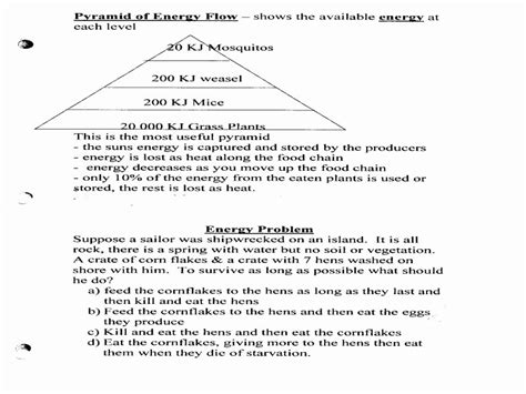 Bill Nye Food Web Worksheets