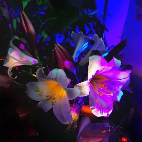 A Vase Filled With Purple And Yellow Flowers On Top Of A Table Next To