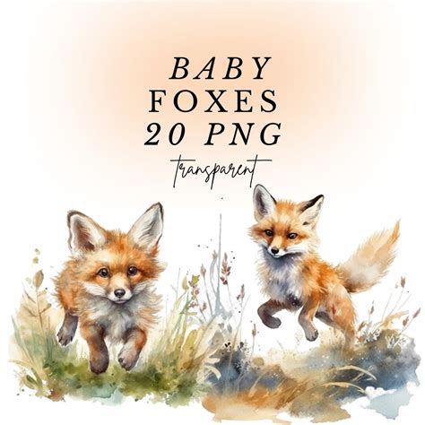 Baby Foxes Watercolor Clipart 20 Transparent PNG for Scrapbook, Junk Journal, Nursery 300dpi ...