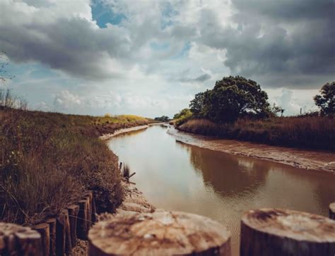 Der regionale Naturpark Médoc Médoc Atlantique