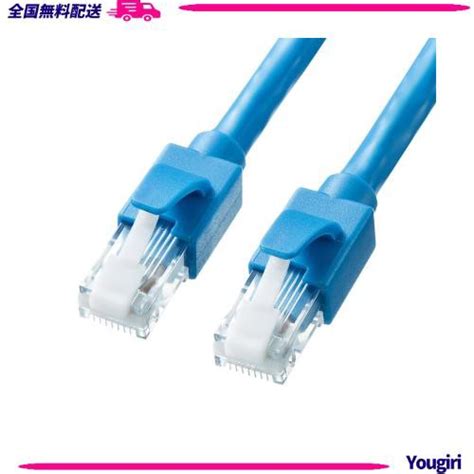 サンワサプライ Cat6a Lanケーブル 3m 10gbps500mhz Rj45 ツメ折れ防止 ブルー Kb T6ats 03blの