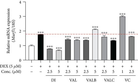 Didrovaltrate DI Inhibits DEX Induced Myotube Atrophy In C2C12 Cells