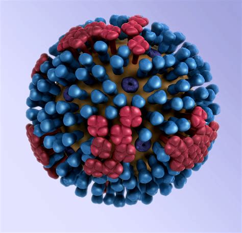 Free Picture Dimensional Model Influenza Virus 3d Graphical