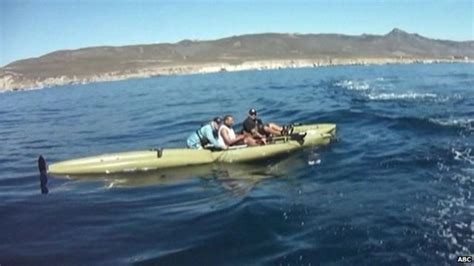 Kayaks Gouged In California Shark Attack Bbc News