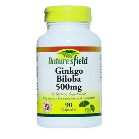 Gnc Herbal Plus Ginkgo Biloba 120mg Airgym