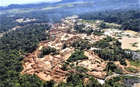 Estudo Revela Nova Onda De Garimpos Ilegais Em Reas Protegidas Na