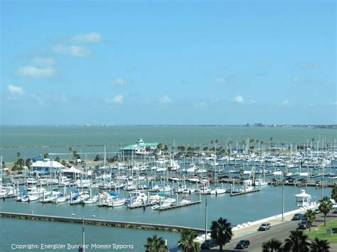 How to find the best florist corpus christi for your wedding 8