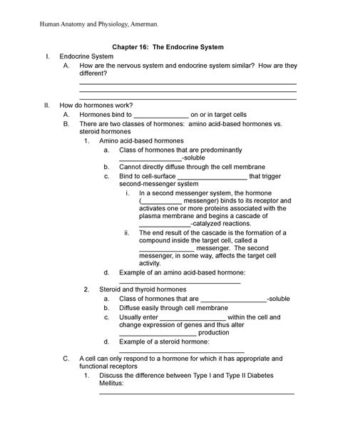 Bio Chapter Outline Notes Amerman Human Anatomy And Physiology