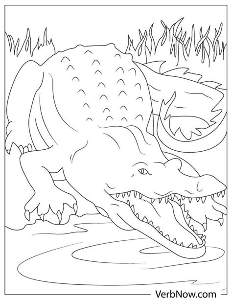 Free Alligator Coloring Pages For Download Printable Pdf