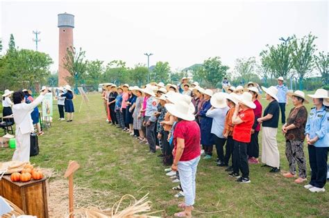 嘉兴市南湖区凤桥镇：趣享农耕 共富三星