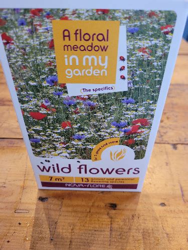 Wildflower Seeds 7m2 Rockbarton Garden Centre