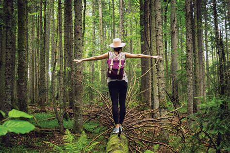 Oregons Adventure Coast Features Immersive Forest Bathing Experience