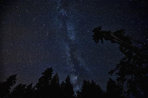 Perseidas 2020 Dónde Y Cómo Ver La Lluvia De Estrellas