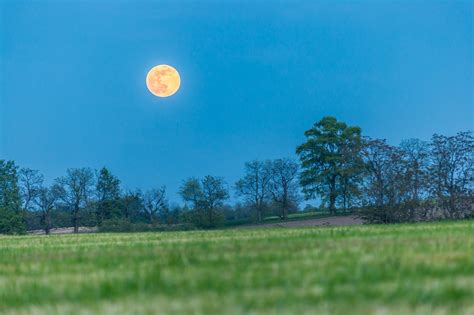 Bulan Lapangan Lanskap Padang Foto Gratis Di Pixabay Pixabay