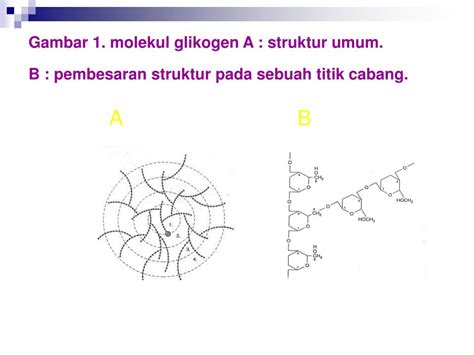 PPT - METABOLIME GLIKOGEN PowerPoint Presentation, free download - ID ...