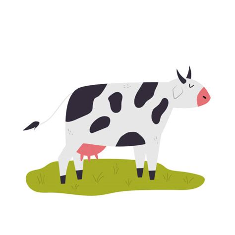 Holstein Cow Cartoon Stock Photos, Pictures & Royalty-Free Images - iStock