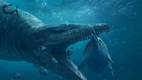 Oceanic T. Rex: Giant Pliosaur Skull Discovered off UK's Jurassic Coast - Sierra Leone