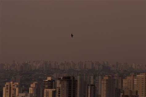 Céu de SP Fumaça de queimadas no Pantanal deixa atmosfera paulista