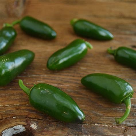 Jalapeno Mild Chile Pepper Thresh Seed Co